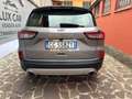 Ford Kuga 1.5 ecoblue Titanium Business 2wd 120cv Gris - thumbnail 2