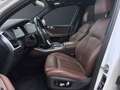 BMW X5 xDrive30d [xLine, Laser, B&W Sound, AHK, HUD] Weiß - thumbnail 14