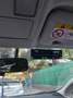 Toyota Prius Prius 1,8 VVT-i PHEV Hybrid Comfort Comfort Weiß - thumbnail 9