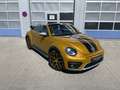 Volkswagen Beetle Cabrio Dune*DAB*Kamera*App*Voll*Leder*Vol Žlutá - thumbnail 4