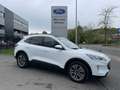 Ford Kuga TITANIUM OC0426 *29377* Blanc - thumbnail 3