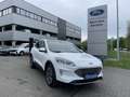 Ford Kuga TITANIUM OC0426 *29377* Blanc - thumbnail 4