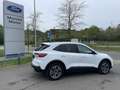 Ford Kuga TITANIUM OC0426 *29377* Blanc - thumbnail 2
