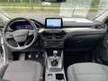 Ford Kuga TITANIUM OC0426 *29377* Blanc - thumbnail 10