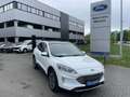 Ford Kuga TITANIUM OC0426 *29377* Blanc - thumbnail 1
