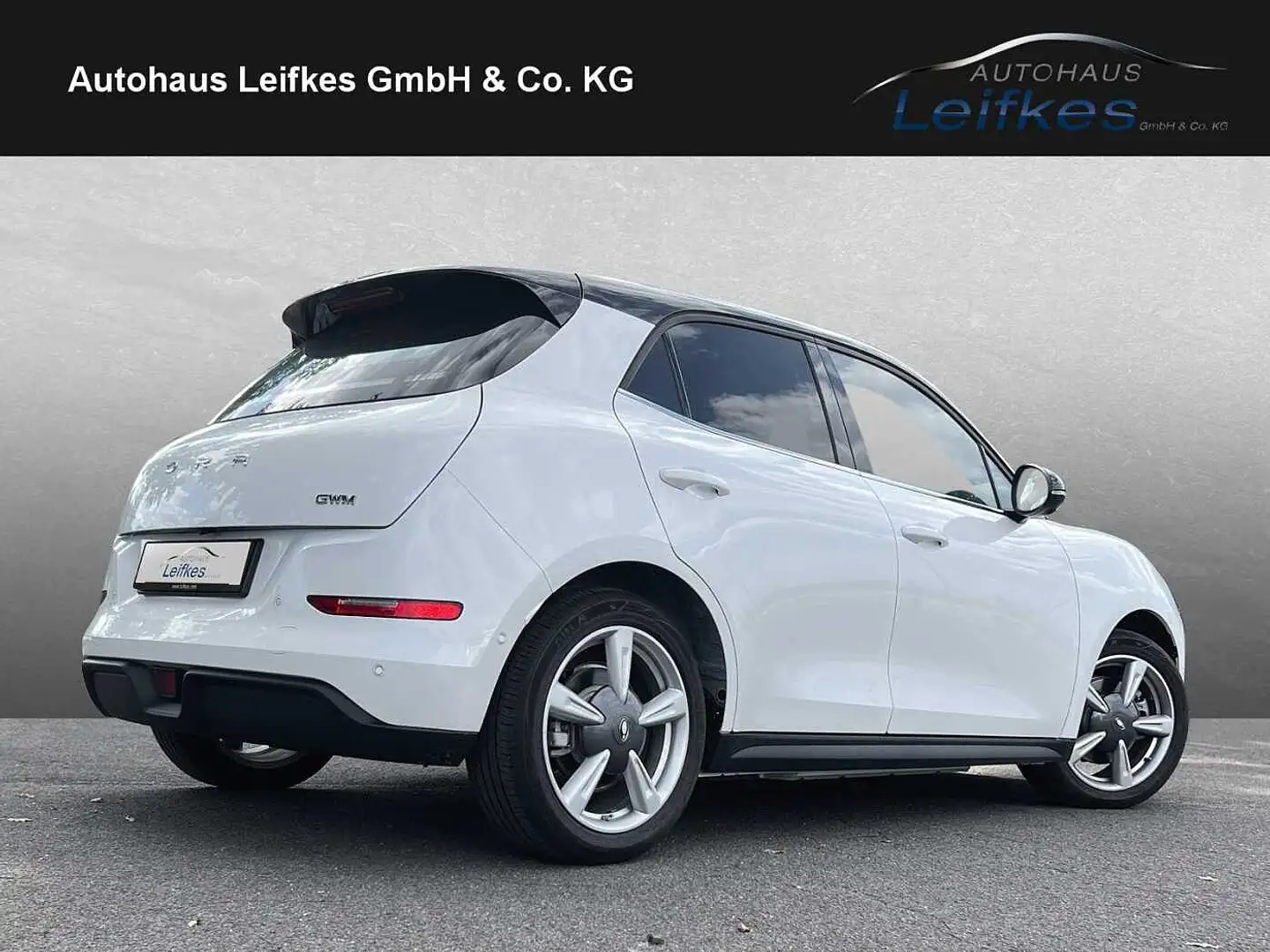 GWM ORA 03 400 Pro+ Weiß - 2