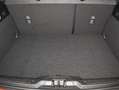 Ford Focus 1.0 Ecoboost 125CV MHEV ST Line Rojo - thumbnail 18