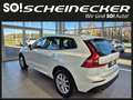 Volvo XC60 D4 Momentum AWD Geartronic Blanc - thumbnail 3