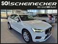 Volvo XC60 D4 Momentum AWD Geartronic Blanc - thumbnail 1