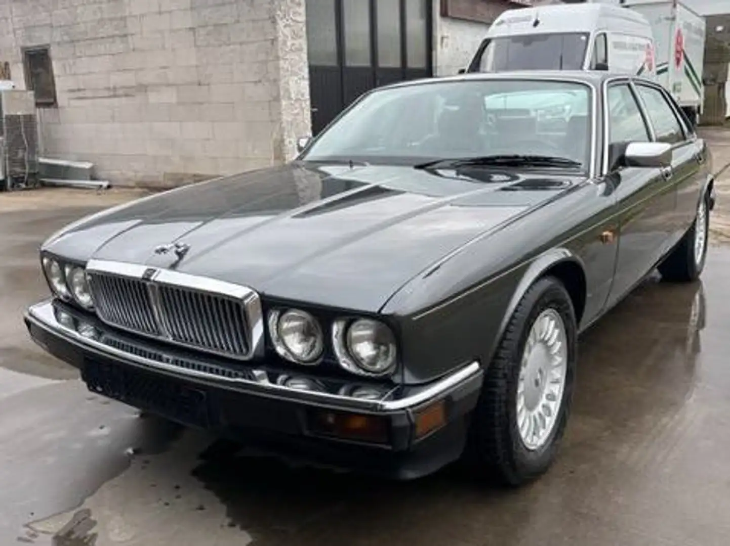 Jaguar XJ6 XJ6 3.6 Automatik Gris - 1