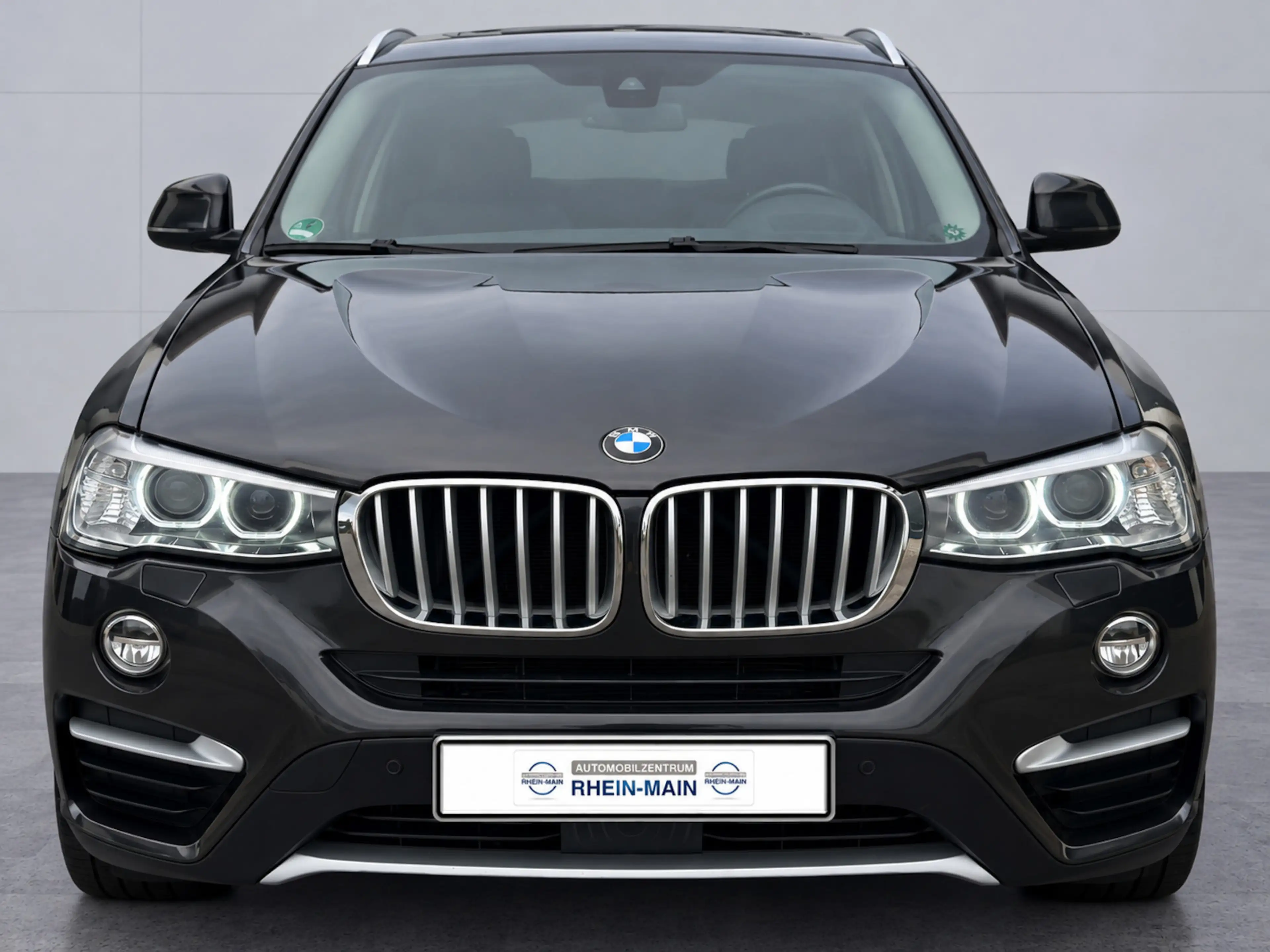 BMW X4 xDrive 30 d xLine HUD AHK RFK SCHIEBEDACH — photo 9
