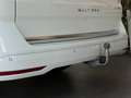 Volkswagen T7 Multivan Style Lang /Standheizung/8-Fach /AHK Wit - thumbnail 42