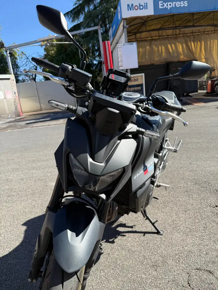 Honda Hornet