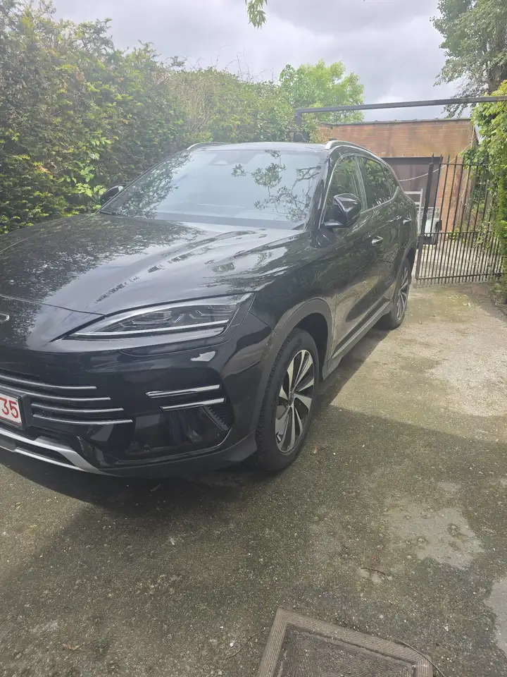 BYD Others 2026