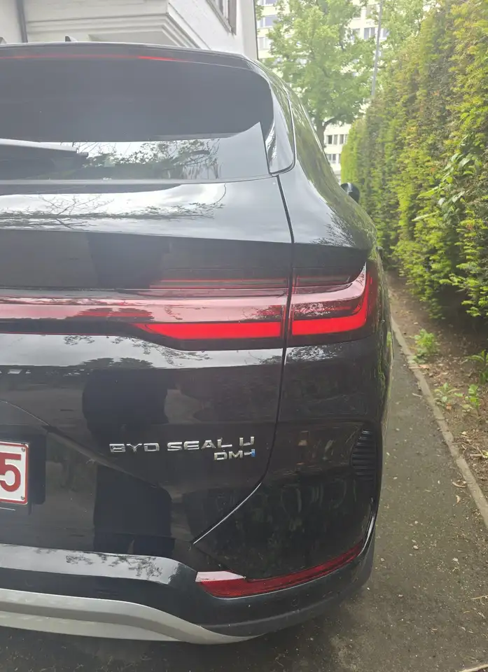 BYD Others 2026