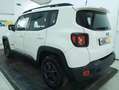 Jeep Renegade 1.0 t3 Longitude 2wd Weiß - thumbnail 2