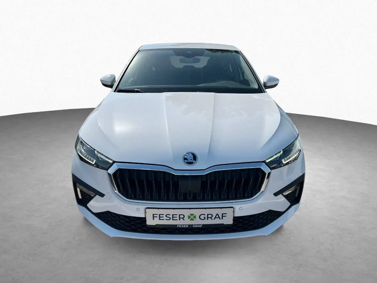 Skoda Scala Drive 1.0TSI/116PS/SHZ/PDC Weiß - 2