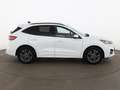 Ford Kuga 2.5 Duratec PHEV ST-Line X Aut LED RADAR Weiß - thumbnail 3