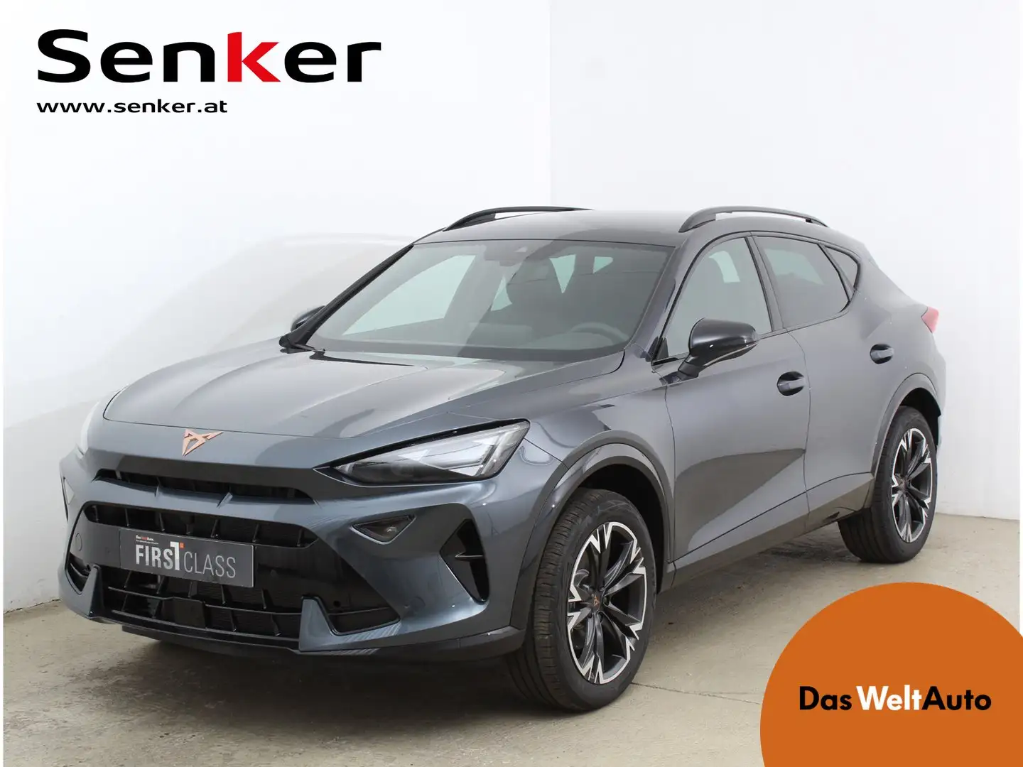 CUPRA Formentor 1.5 TSI 150 PS ACT Grau - 1