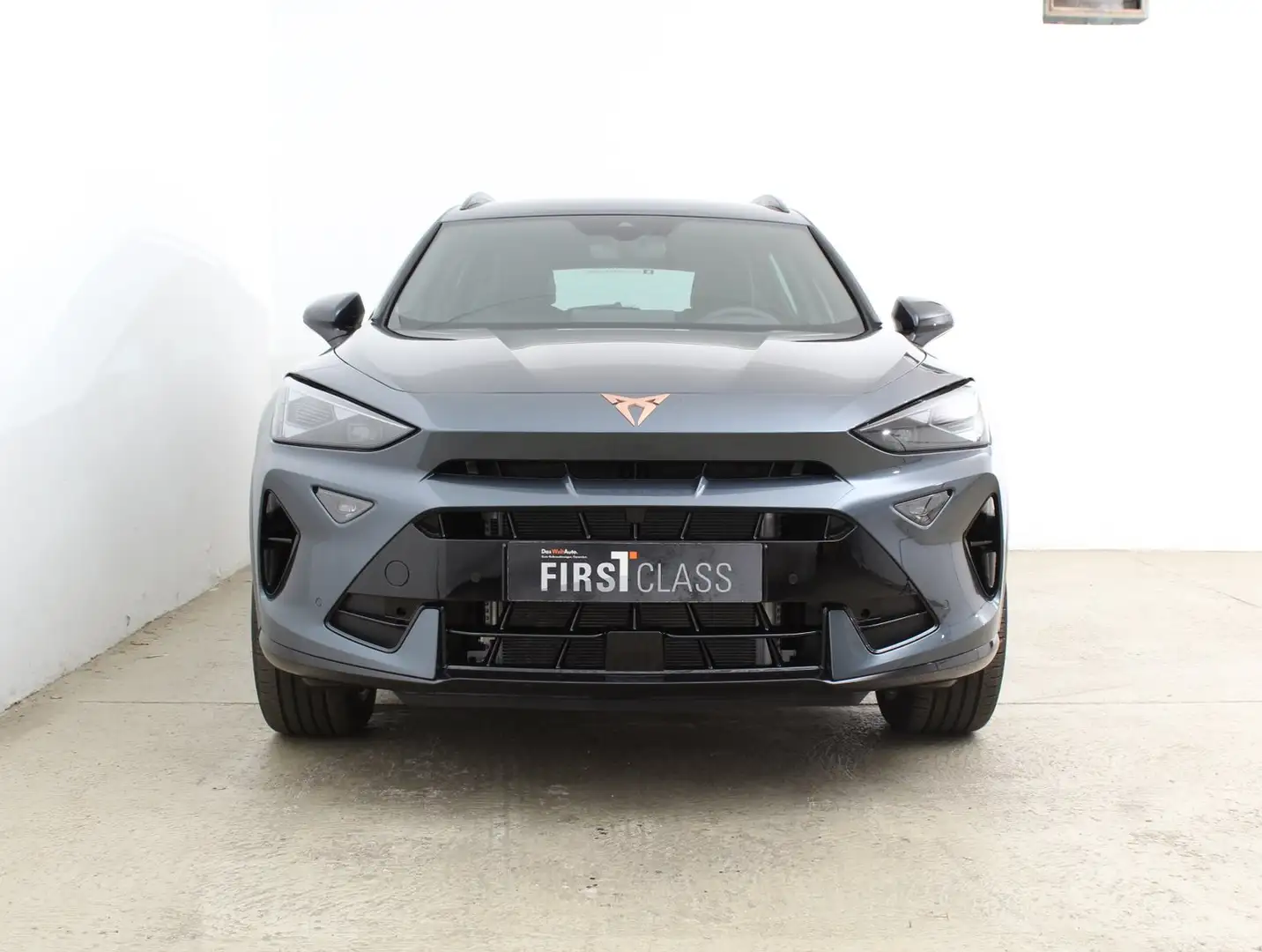 CUPRA Formentor 1.5 TSI 150 PS ACT Grau - 2