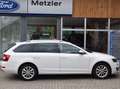 Skoda Octavia Elegance Weiß - thumbnail 1