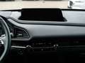 Mazda CX-30 2025 e-SKYACTIV-X 186PS FWD 6AT Exclusive-line BOS Grau - thumbnail 10