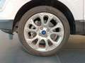 Ford EcoSport 125cv Titanium Bianco - thumbnail 8