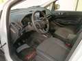 Ford EcoSport 125cv Titanium Bianco - thumbnail 12