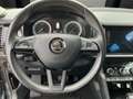 Skoda Kodiaq 4x4/ 7-Sitzer Navi Leder Memory Sitze LED Kurvenli Grau - thumbnail 10
