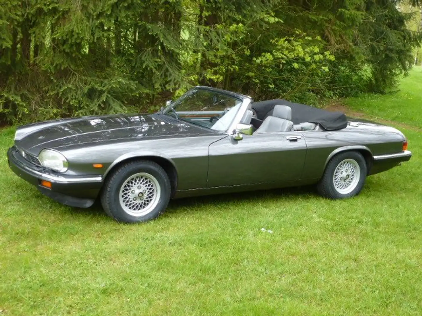Jaguar XJS XJSC+V12+Automatik+Convertible - 1