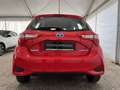 Toyota Yaris 1.5 Hybrid 5 porte Active Red - thumbnail 6