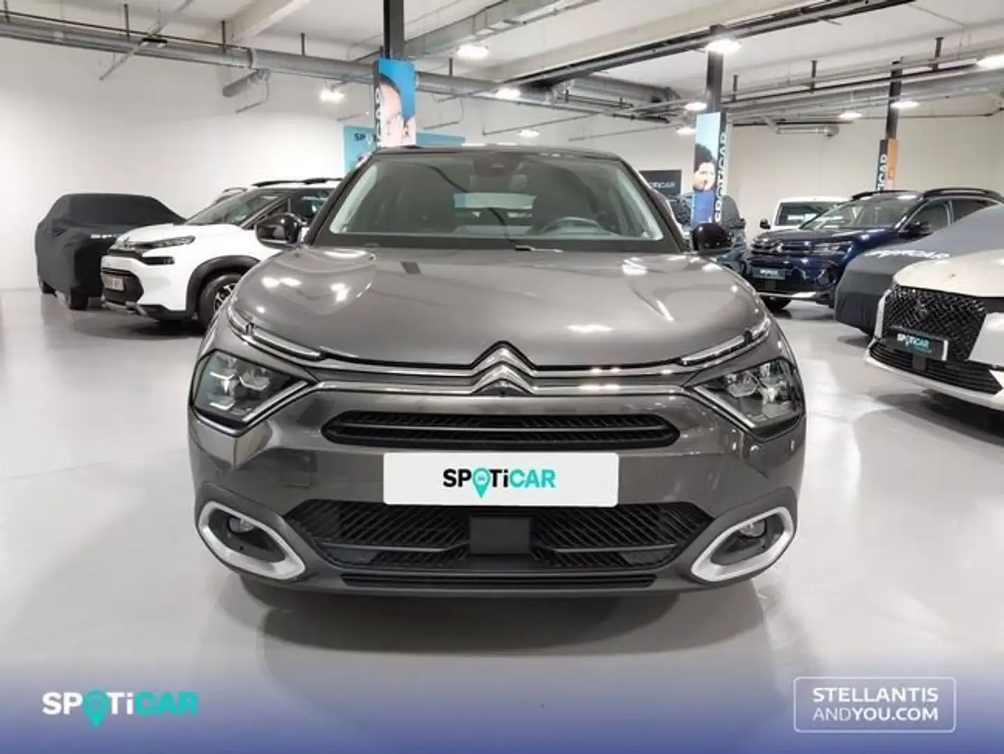 Citroen C4 BlueHDi 130 S&S EAT8 Max Gris - 2