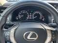 Lexus GS 250 Executive Line Automatik,Leder,PDC siva - thumbnail 25