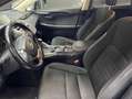 Lexus NX 300 300h Corporate 2WD + Navibox Grau - thumbnail 12