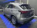 Lexus NX 300 300h Corporate 2WD + Navibox Grau - thumbnail 11