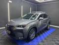 Lexus NX 300 300h Corporate 2WD + Navibox Grau - thumbnail 9