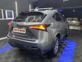 Lexus NX 300 300h Corporate 2WD + Navibox Grau - thumbnail 20