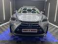Lexus NX 300 300h Corporate 2WD + Navibox Grau - thumbnail 7
