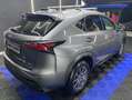 Lexus NX 300 300h Corporate 2WD + Navibox Grau - thumbnail 10