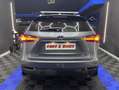 Lexus NX 300 300h Corporate 2WD + Navibox Grau - thumbnail 19