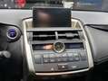 Lexus NX 300 300h Corporate 2WD + Navibox Grau - thumbnail 6