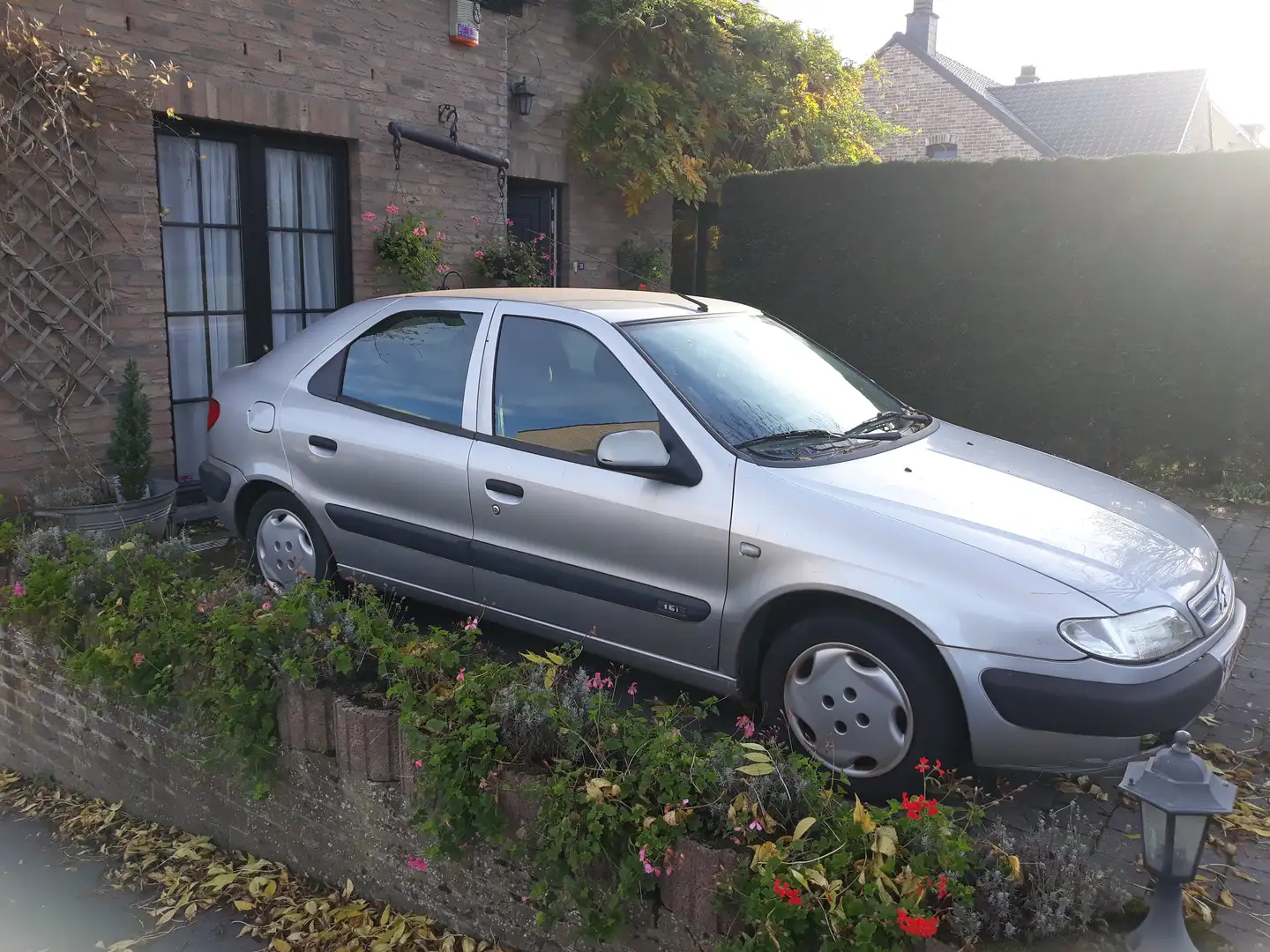 Citroen Xsara 1.6i SX Zilver - 2