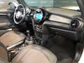 MINI Cooper D Cabrio Cabrio 1.5 116CV Bianco - thumbnail 12