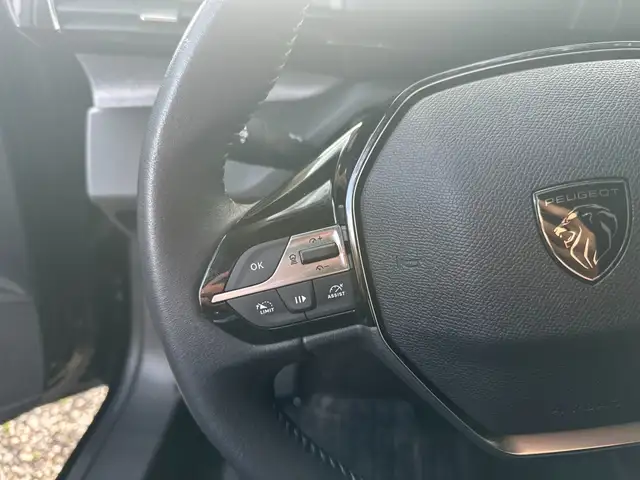Peugeot 308 view 13