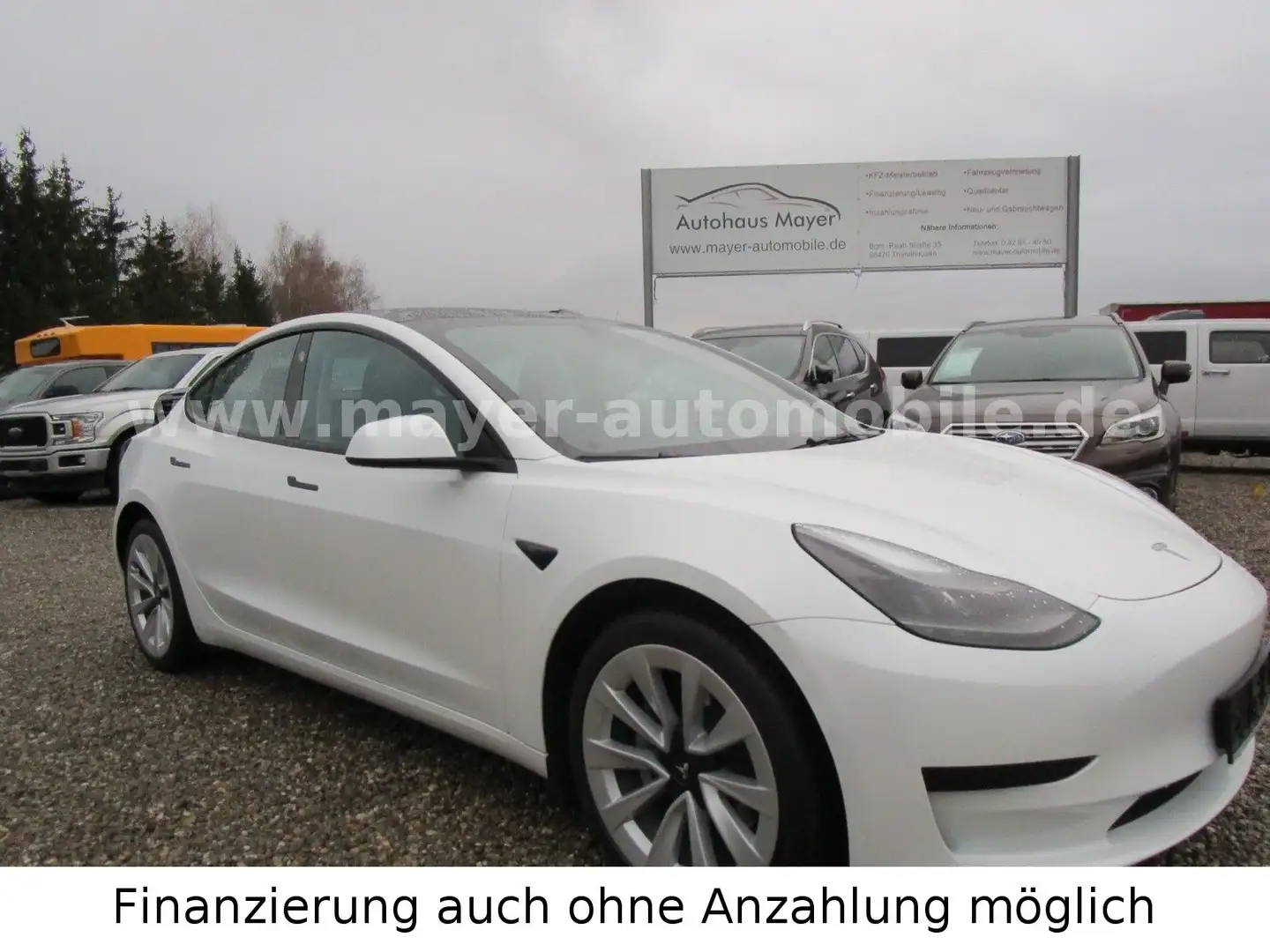 Tesla Model 3 RWD*Autopilot*Glasdach* Weiß - 1