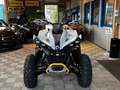 Can Am Renegade Xxc 650 T 2023 LoF *OFFEN* NEUES MODELL Gris - thumbnail 8