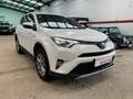 Toyota RAV 4 150D Advance AWD Blanco - thumbnail 3