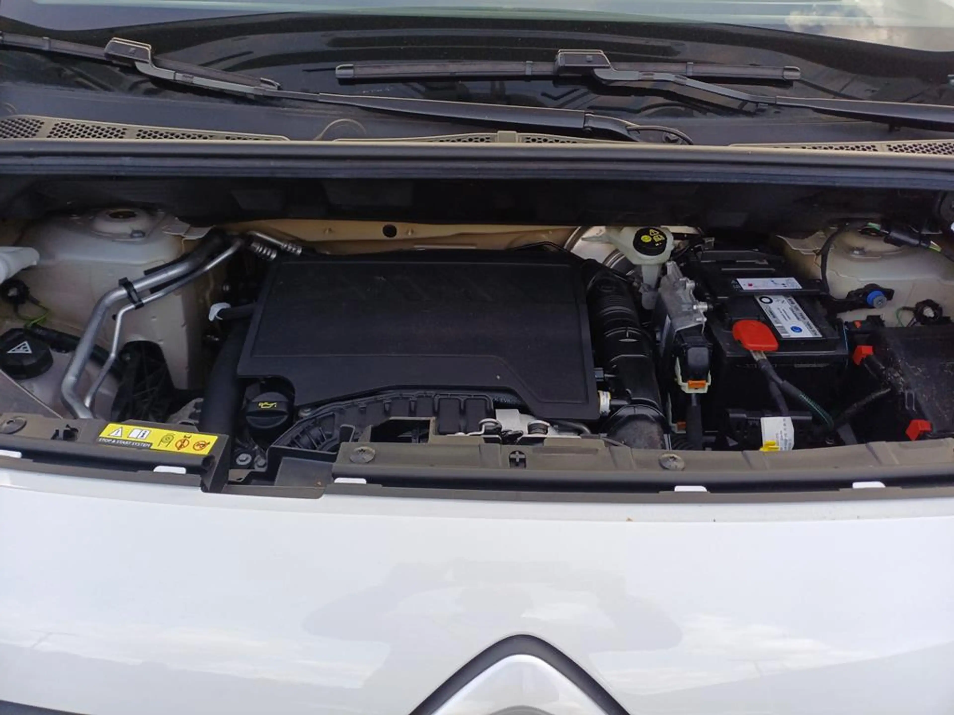 Citroen Berlingo XL PureTech 110 Live — photo 5
