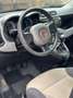 Fiat Panda Panda III 2013 1.2 Lounge 69cv - thumbnail 10