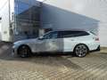 BMW 540 d xDrive Tour. M Sport AB-Assist AHK B&W 360° Grau - thumbnail 6
